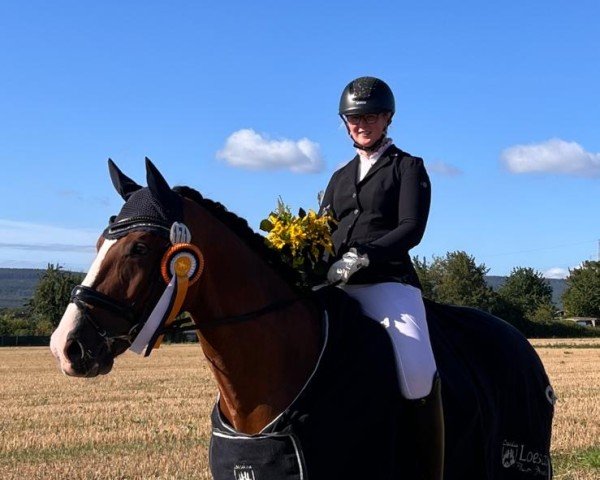 dressage horse Lovely Ludwig (Hanoverian, 2017, from Lissaro)