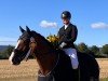 dressage horse Lovely Ludwig (Hanoverian, 2017, from Lissaro)