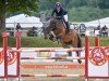 jumper Quebic City Boy (Oldenburg show jumper, 2008, from Quintender 2)