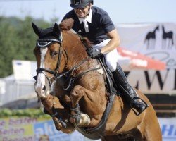 jumper Lorio Von Pachern (Oldenburg, 2007, from Ludwig von Bayern 168 FIN)