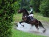 eventing horse Harmony Cb (Hanoverian, 2019, from Helium)