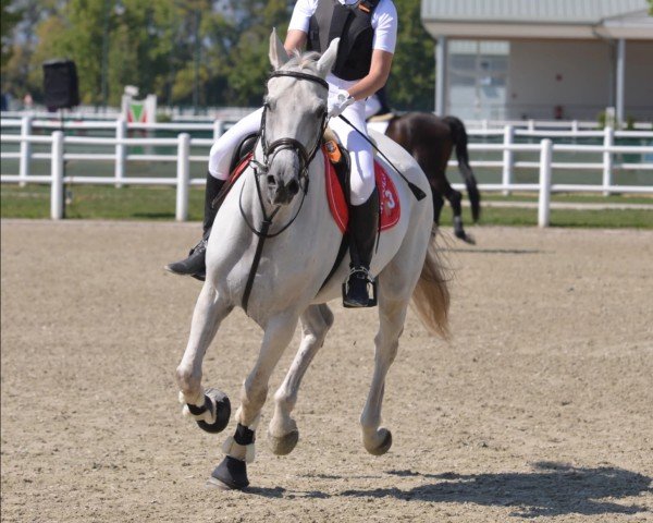 horse Unite de Valeur (KWPN (Royal Dutch Sporthorse), 2001, from Cavalier)