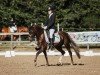 dressage horse Bunbury Cottonrose (Welsh-Pony (Section B), 2012, from Millcroft Beluga)