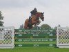 jumper Benfields Victory (anglo european sporthorse, 2016, from Billy Congo)