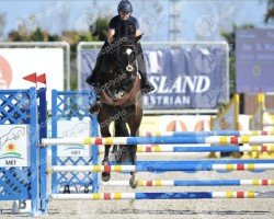 jumper Jasmin D'Ayrifagne (Belgium Sporthorse, 2015, from Kannan)