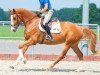 broodmare Juvia VEC (Holsteiner, 2017, from Balou du Rouet)