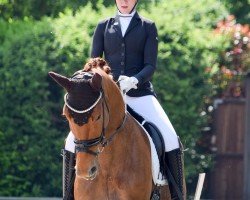 dressage horse Kambergs Eins-A (Hanoverian, 2019, from Escolar)