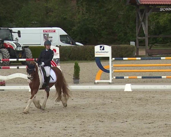 Reitturnier Frankenhof-Sonnefeld/Ofr. 2024