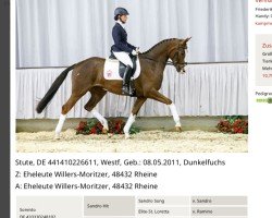 dressage horse Sweet Girl (Westphalian, 2011, from Sorento OLD)