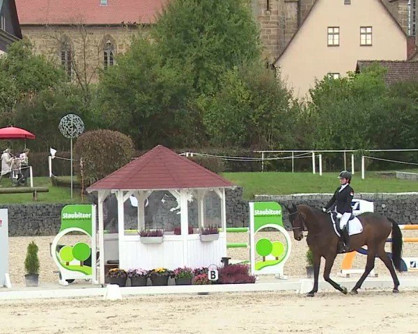 Reitturnier Frankenhof-Sonnefeld/Ofr. 2024