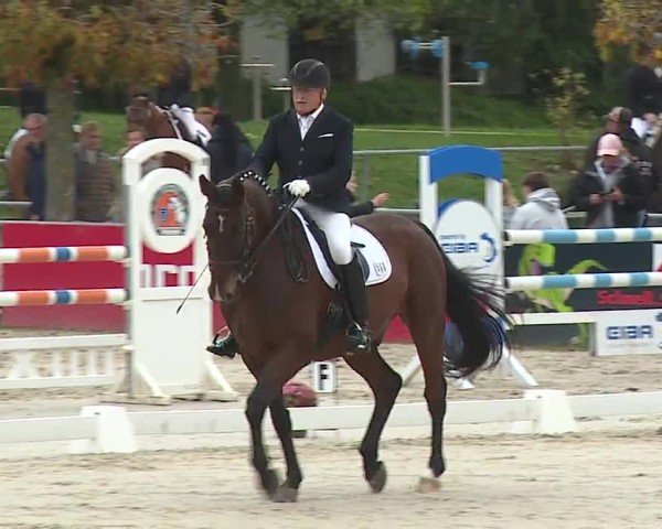 Reitturnier Frankenhof-Sonnefeld/Ofr. 2024