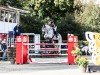 jumper Colorado 196 (Oldenburg show jumper, 2006, from Carinue)