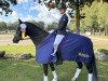broodmare Petit Nirvana (German Riding Pony, 2019, from Petit Rock the Moment)