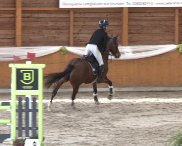 Reitturnier Xanten - Reitanlage Miss 2024