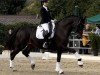 dressage horse Final Countdown 18 (Westphalian, 2008, from Floresco NRW)