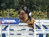 jumper Big Balou 11 (Oldenburg show jumper, 2016, from Balou du Rouet)