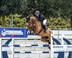 jumper Big Balou 11 (Oldenburg show jumper, 2016, from Balou du Rouet)