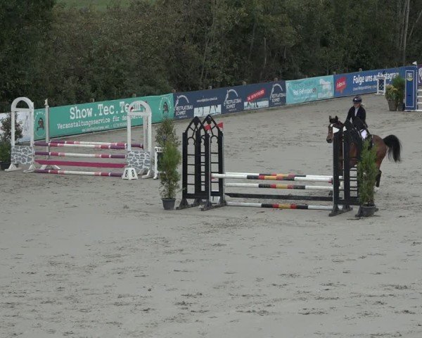 Reitturnier Scharnebeck 2024