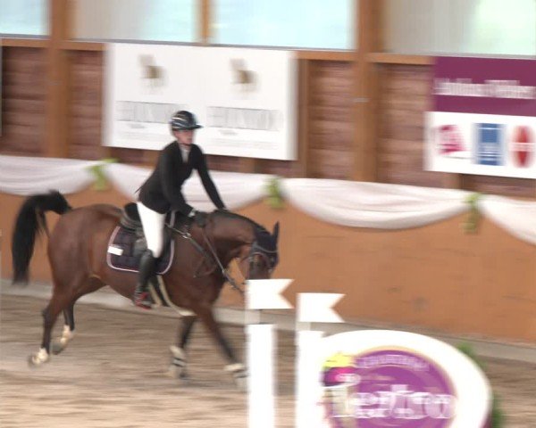 Reitturnier Xanten - Reitanlage Miss 2024
