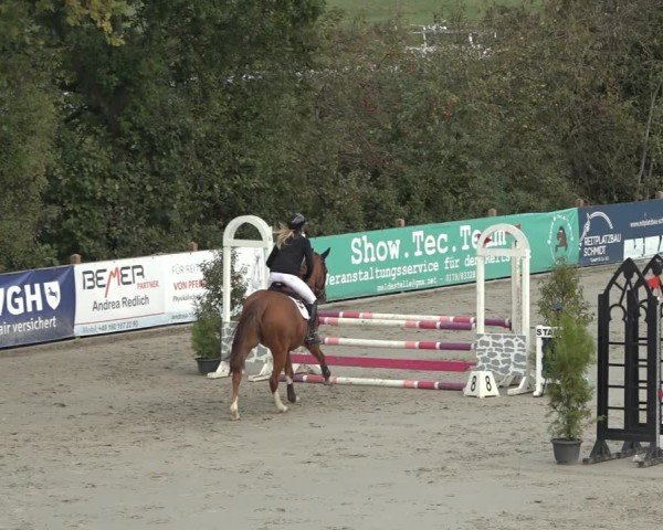 Reitturnier Scharnebeck 2024