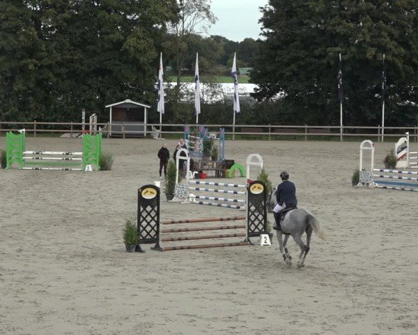 Reitturnier Scharnebeck 2024