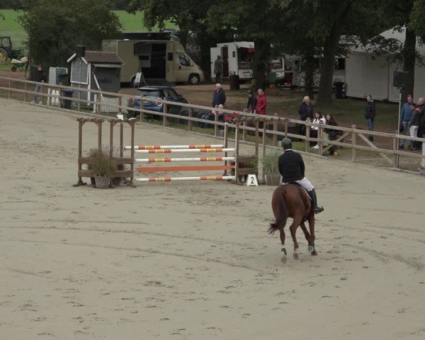 Reitturnier Scharnebeck 2024