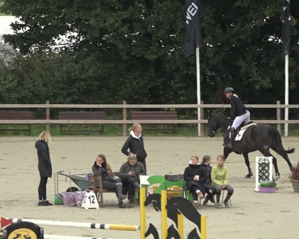 Reitturnier Scharnebeck 2024