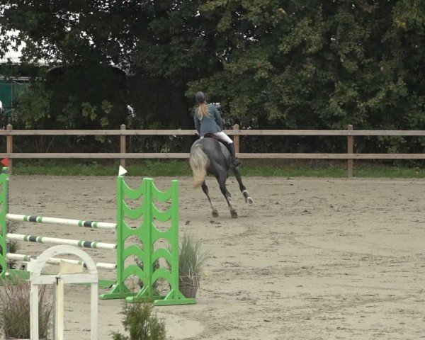 Reitturnier Scharnebeck 2024