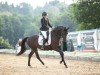 dressage horse Rhianna 16 (German Sport Horse, 2018, from Decurio 3)