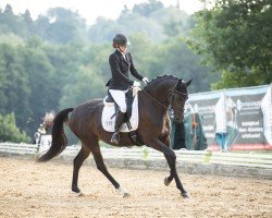 dressage horse Rhianna 16 (German Sport Horse, 2018, from Decurio 3)