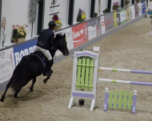Reitturnier Borken 2024