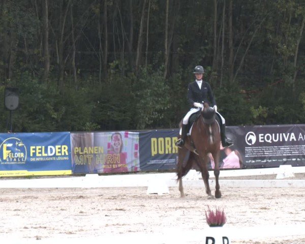 Reitturnier Igls 2024