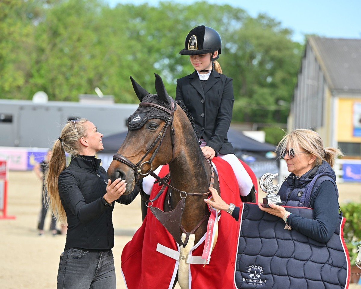 jumper Ocean (Belgian Warmblood, 2014, from Presley Boy)