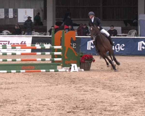 Reitturnier Ranshofen - Braunau am Inn 2024