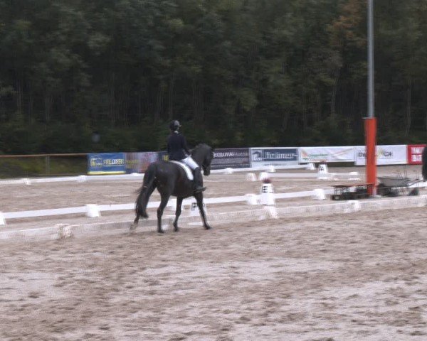Reitturnier Igls 2024