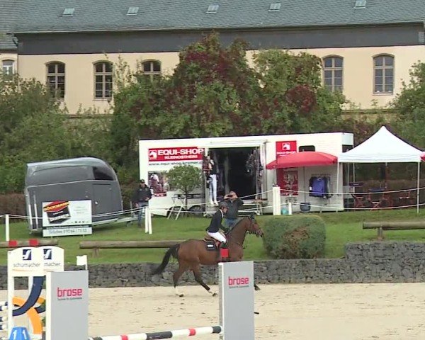 Reitturnier Frankenhof-Sonnefeld/Ofr. 2024