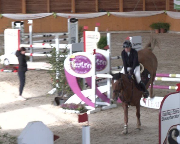 Reitturnier Xanten - Reitanlage Miss 2024