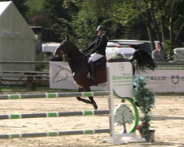 Reitturnier Kamen 2024
