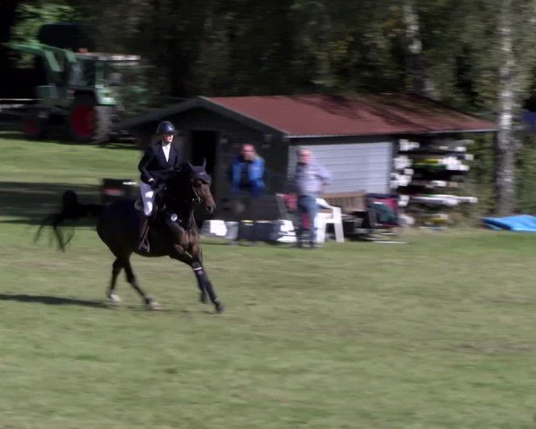 Reitturnier Scharnebeck 2024