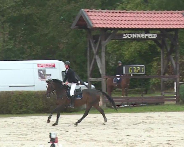 Reitturnier Frankenhof-Sonnefeld/Ofr. 2024