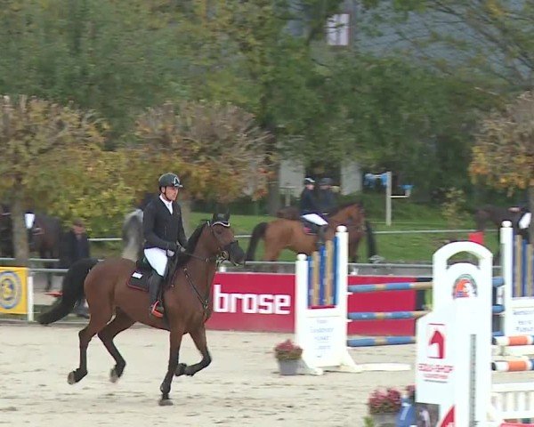 Reitturnier Frankenhof-Sonnefeld/Ofr. 2024