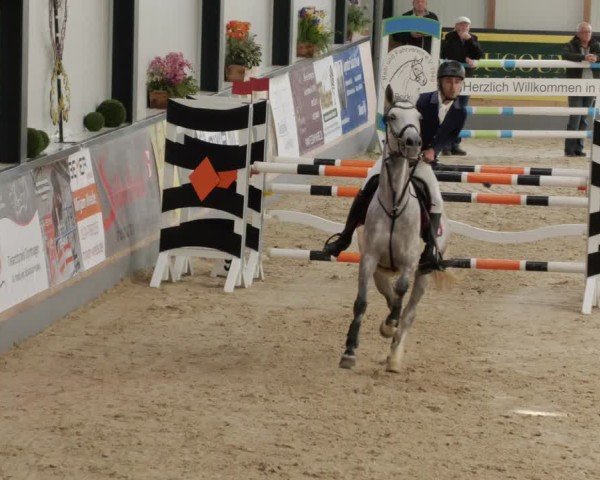 Reitturnier Borken 2024