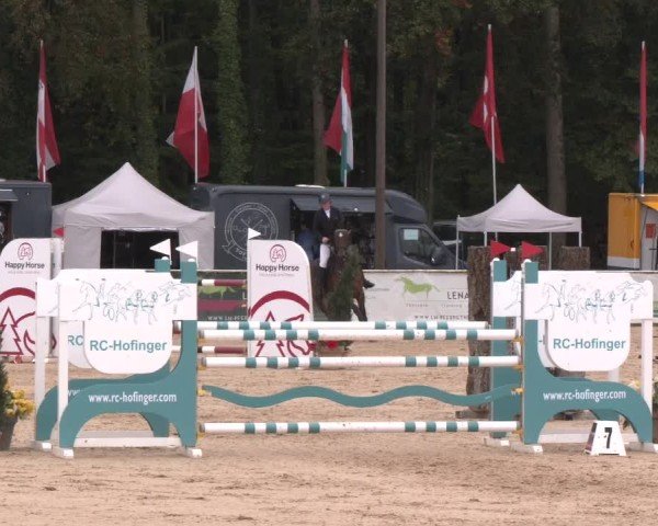 Reitturnier Ranshofen - Braunau am Inn 2024
