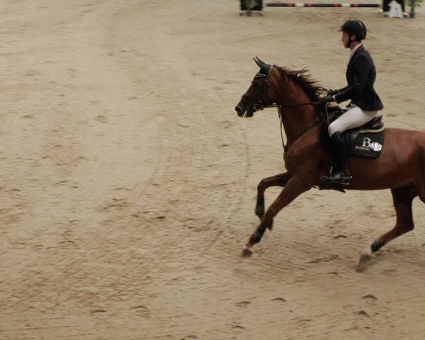 Reitturnier Borken 2024