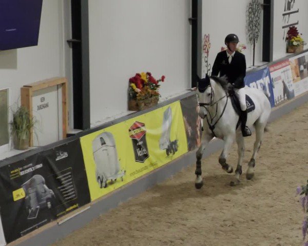 Reitturnier Borken 2024