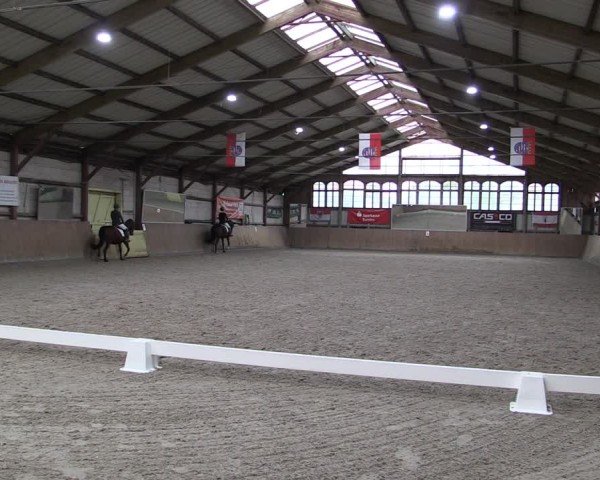 Reitturnier Elisenau 2024