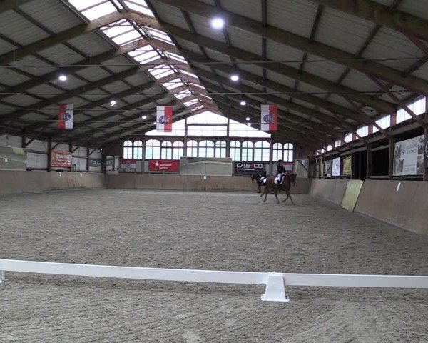 Reitturnier Elisenau 2024
