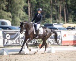 horse Cooley Velvet (Irish Sport Horse, 2018, from Baloubet du Rouet)