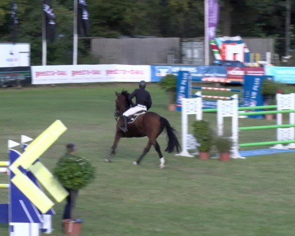 Reitturnier Scharnebeck 2024