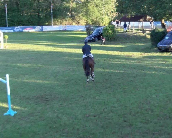 Reitturnier Scharnebeck 2024
